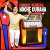 Enrique Herrera - Nuestras Vidas