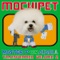 Complex Players Dub - Mochipet lyrics