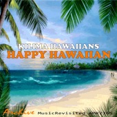 Happy Hawaiian artwork