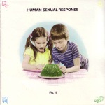 Human Sexual Response - Dolls