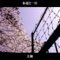 Ipponno Sakura - YAMATO lyrics