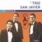 Señor Amor - Trio San Javier lyrics