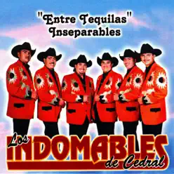 "Entre Tequilas" Inseparables - Los Indomables de Cedral "Entre Tequilas" Inseparables - Los Indomables de Cedral