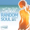 Key to Soul (Yogi & Husky's Bounce) - Random Soul lyrics