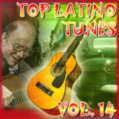 Top Latino Tunes, Vol. 14 artwork