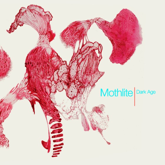 Cover artwork for Seeing in the Dark