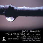The Protecting Veil: IV. The Incarnation artwork