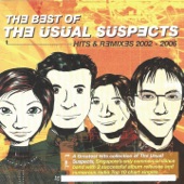 The Usual Suspects: Best of (Hits & Remixes 2002-2006) artwork