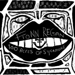 100 Acres of Sycamore - Fionn Regan