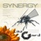 Embraced - DJ Gard & Synergy lyrics