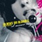 El Amor Negro - :Blacks On :Blondes lyrics