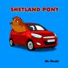 Shetland Pony - Single album lyrics, reviews, download