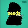 Seeds: Mozart artwork