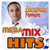 Mega MixHits, 2012