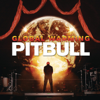 Pitbull - Feel This Moment (feat. Christina Aguilera)  arte