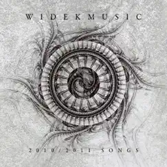 2010/2011 Songs by Widek album reviews, ratings, credits