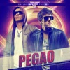 Pegao (Radio Edit) - Single