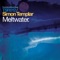 Meltwater - Simon Templar lyrics