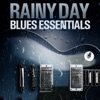 Rainy Day Blues Essentials, 2014