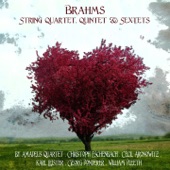 String Sextet in B-Flat Major, Op. 18: IV. Rondo. Poco allegretto e grazioso artwork