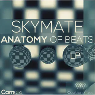 Anatomy by Skymate song reviws