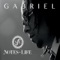 Funk Shui - Gabriel lyrics