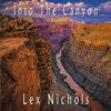 Into the Canyon