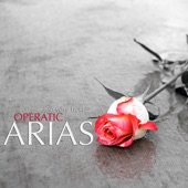 The Very Best Operatic Arias artwork