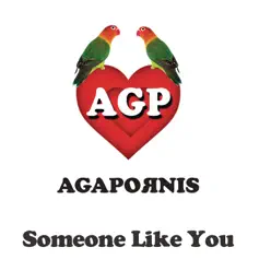 Someone Like You - Single - Agapornis