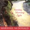 Till We Meet (Hasta Ver) - Marshall McDonald lyrics