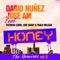 Honey (Aritz & Rider Remix) - Dario Nuñez & Jose Am lyrics