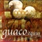 Pa´ti - Guaco lyrics