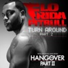 Flo Rida & Pitbull - Turn Around, pt 2