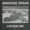 Ave Satani - Genocide Organ lyrics