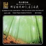Yomiuri Nippon Symphony Orchestra, Chen Chung-shen & Hsu Sung-Jen - Bamboo Flute Concerto