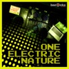 One Electric Nature