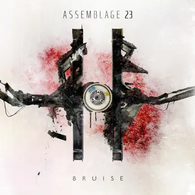 Bruise - Assemblage 23