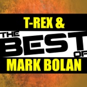 The Best of T-Rex & Marc Bolan (Live) artwork