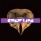 Seven (Nylon Compilation Version) - Chew Lips lyrics