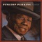 Sweet Home Chicago - Pinetop Perkins lyrics