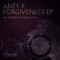 Forgiveness (Newbie Nerdz Remix) - Aney F lyrics