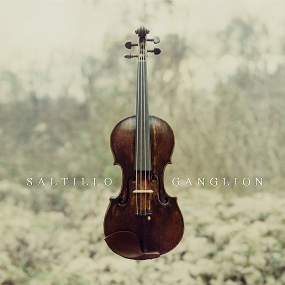 Cover artwork for Backyard Pond