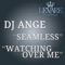 Seamless - DJ Ange lyrics