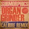 Organ Grinder - Submorphics lyrics