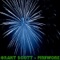 Firework (Acoustic) - Grant Scott lyrics