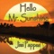 Sunsets - Jimi Pappas lyrics