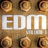 EDM, Vol. 1, 2012