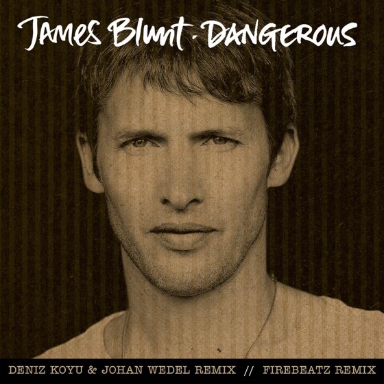 Cover artwork for Dangerous (Firebeatz Remix)