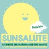 BrooklynVegan Presents Sun Salute (A Tribute to Katrina & the Waves and Walking on Sunshine) - EP