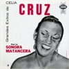 Grandes Éxitos de Celia Cruz, 2010